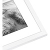 image:imageAmericanflat 11x14 Picture Frame 5Pack  Matted to 8x11  Black  Slim Molding construction Polished plexiglass front hangs vertical or horizontal sawtooth hangers includedWhite
