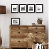 image:imageAmericanflat 11x14 Picture Frame 5Pack  Matted to 8x11  Black  Slim Molding construction Polished plexiglass front hangs vertical or horizontal sawtooth hangers includedBlack