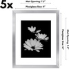 image:imageAmericanflat 11x14 Picture Frame 5Pack  Matted to 8x11  Black  Slim Molding construction Polished plexiglass front hangs vertical or horizontal sawtooth hangers includedSilver