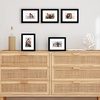 image:imageAmericanflat 11x14 Picture Frame 5Pack  Matted to 8x11  Black  Slim Molding construction Polished plexiglass front hangs vertical or horizontal sawtooth hangers includedBlack