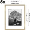 image:imageAmericanflat 11x14 Picture Frame 5Pack  Matted to 8x11  Black  Slim Molding construction Polished plexiglass front hangs vertical or horizontal sawtooth hangers includedGold