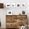 image:imageAmericanflat 11x14 Picture Frame 5Pack  Matted to 8x11  Black  Slim Molding construction Polished plexiglass front hangs vertical or horizontal sawtooth hangers includedWhite