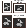 image:imageAmericanflat 11x14 Picture Frame 5Pack  Matted to 8x11  Black  Slim Molding construction Polished plexiglass front hangs vertical or horizontal sawtooth hangers includedMahogany