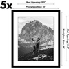 image:imageAmericanflat 11x14 Picture Frame 5Pack  Matted to 8x11  Black  Slim Molding construction Polished plexiglass front hangs vertical or horizontal sawtooth hangers includedBlack