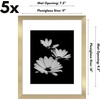 image:imageAmericanflat 11x14 Picture Frame 5Pack  Matted to 8x11  Black  Slim Molding construction Polished plexiglass front hangs vertical or horizontal sawtooth hangers includedGold