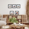 image:imageAmericanflat 11x14 Picture Frame 5Pack  Matted to 8x11  Black  Slim Molding construction Polished plexiglass front hangs vertical or horizontal sawtooth hangers includedBlack