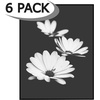 image:imageAmericanflat 5x7 Picture Frame 12Pack  Matted to 4x6  Black  Frontloading design Shatterresistant glass fits photos posters and art6 Pack  Without Mat