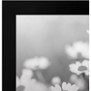 image:imageAmericanflat 8x10 Picture Frame with Polished Plexiglass  Set of 12  Signature Collection  Picture Frames with Engineered Wood  Photo Frame for Tabletop and Wall Display  BlackBlack