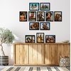 image:imageAmericanflat 8x10 Picture Frame with Polished Plexiglass  Set of 12  Signature Collection  Picture Frames with Engineered Wood  Photo Frame for Tabletop and Wall Display  BlackBlack