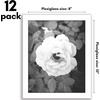 image:imageAmericanflat 8x10 Picture Frame with Polished Plexiglass  Set of 12  Signature Collection  Picture Frames with Engineered Wood  Photo Frame for Tabletop and Wall Display  BlackWhite