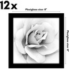 image:imageAmericanflat 8x10 Picture Frame with Polished Plexiglass  Set of 12  Signature Collection  Picture Frames with Engineered Wood  Photo Frame for Tabletop and Wall Display  BlackBlack