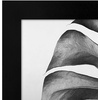 image:imageAmericanflat 8x10 Picture Frame with Polished Plexiglass  Set of 12  Signature Collection  Picture Frames with Engineered Wood  Photo Frame for Tabletop and Wall Display  BlackBlack