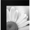 image:imageAmericanflat 8x10 Picture Frame with Polished Plexiglass  Set of 12  Signature Collection  Picture Frames with Engineered Wood  Photo Frame for Tabletop and Wall Display  BlackBlack