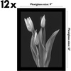 image:imageAmericanflat 8x10 Picture Frame with Polished Plexiglass  Set of 12  Signature Collection  Picture Frames with Engineered Wood  Photo Frame for Tabletop and Wall Display  BlackBlack