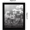 image:imageAmericanflat 8x10 Picture Frame with Polished Plexiglass  Set of 12  Signature Collection  Picture Frames with Engineered Wood  Photo Frame for Tabletop and Wall Display  BlackBlack