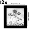 image:imageAmericanflat 8x10 Picture Frame with Polished Plexiglass  Set of 12  Signature Collection  Picture Frames with Engineered Wood  Photo Frame for Tabletop and Wall Display  BlackBlack