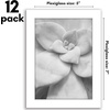 image:imageAmericanflat 8x10 Picture Frame with Polished Plexiglass  Set of 12  Signature Collection  Picture Frames with Engineered Wood  Photo Frame for Tabletop and Wall Display  BlackWhite