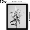 image:imageAmericanflat 8x10 Picture Frame with Polished Plexiglass  Set of 12  Signature Collection  Picture Frames with Engineered Wood  Photo Frame for Tabletop and Wall Display  BlackBlack