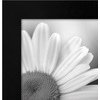 image:imageAmericanflat 8x10 Picture Frame with Polished Plexiglass  Set of 12  Signature Collection  Picture Frames with Engineered Wood  Photo Frame for Tabletop and Wall Display  BlackBlack