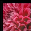 image:imageAmericanflat 8x10 Picture Frame with ShatterResistant Glass  Set of 12  Galleria Collection  Picture Frames for Tabletop and Wall Display  Black4x6