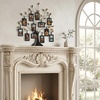 image:imageAmericanflat Family Tree Picture Frame  Includes 12 Hanging 2x3 Picture Frames  Adjustable Ribbon Tassels  Ideal as Mothers Day Gifts or Christmas Decor  Black and Bronze  Gifts for MomBlack