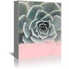 image:imageAmericanflat Modern Tropical By Emanuela Carratoni  6 Piece Wrapped Canvas Set 11x14 Multicolored Set of 6