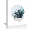 image:imageAmericanflat Modern Tropical By Emanuela Carratoni  6 Piece Wrapped Canvas Set 11x14 Multicolored Set of 6