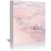 image:imageAmericanflat Modern Tropical By Emanuela Carratoni  6 Piece Wrapped Canvas Set 11x14 Multicolored Set of 6