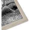 image:imageAmericanflat Set of 10 Picture Frames with ShatterResistant Glass  Gallery Wall Frame Set with Two 8x10 Four 5x7 and Four 4x6 Frames  Signature Collection  Driftwood  Includes two 8x10 four 5x7 and four 4x6 shatterresistant glass hanging hardware includedDriftwood