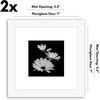 image:imageAmericanflat 11x14 Picture Frame 2Pack  Matted to 8x10  White  Slim Molding construction Polished plexiglass front hangs vertical or horizontal sawtooth hangers includedWhite
