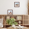 image:imageAmericanflat 11x14 Picture Frame 2Pack  Matted to 8x10  White  Slim Molding construction Polished plexiglass front hangs vertical or horizontal sawtooth hangers includedMahogany