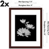 image:imageAmericanflat 11x14 Picture Frame 2Pack  Matted to 8x10  White  Slim Molding construction Polished plexiglass front hangs vertical or horizontal sawtooth hangers includedMahogany