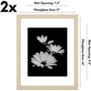 image:imageAmericanflat 11x14 Picture Frame 2Pack  Matted to 8x10  White  Slim Molding construction Polished plexiglass front hangs vertical or horizontal sawtooth hangers includedNatural Oak