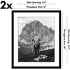 image:imageAmericanflat 11x14 Picture Frame 2Pack  Matted to 8x10  White  Slim Molding construction Polished plexiglass front hangs vertical or horizontal sawtooth hangers includedBlack