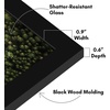 image:imageAmericanflat 11x17 Picture Frame 4Pack  Engineered Wood  Black  Shatterresistant glass hangs vertical or horizontal sawtooth hangers included fits photos posters and artBlack