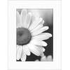 image:imageAmericanflat 11x17 Picture Frame 4Pack  Engineered Wood  Black  Shatterresistant glass hangs vertical or horizontal sawtooth hangers included fits photos posters and artWhite