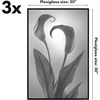 image:imageAmericanflat 20x28 Picture Frame 3Pack  Black  Slidein front cover swaps photos and posters easily sawtooth hangers included fits photos posters prints and artBlack