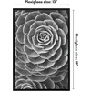 image:imageAmericanflat 20x28 Picture Frame 3Pack  Black  Slidein front cover swaps photos and posters easily sawtooth hangers included fits photos posters prints and artBlack