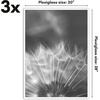 image:imageAmericanflat 20x28 Picture Frame 3Pack  Black  Slidein front cover swaps photos and posters easily sawtooth hangers included fits photos posters prints and artWhite