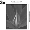 image:imageAmericanflat 20x28 Picture Frame 3Pack  Black  Slidein front cover swaps photos and posters easily sawtooth hangers included fits photos posters prints and artBlack