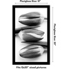 image:imageAmericanflat 20x30 Poster Frame  White Engineered Wood with Polished Plexiglass  Wide Picture Frame for Vertical or Horizontal Wall Display  Epic Collection  White  Polished plexiglass front hangs vertical or horizontal sawtooth hangers included fits photos posters and artBlack