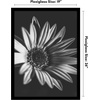 image:imageAmericanflat 20x30 Poster Frame  White Engineered Wood with Polished Plexiglass  Wide Picture Frame for Vertical or Horizontal Wall Display  Epic Collection  White  Polished plexiglass front hangs vertical or horizontal sawtooth hangers included fits photos posters and artBlack