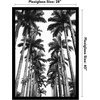 image:imageAmericanflat 20x30 Poster Frame  White Engineered Wood with Polished Plexiglass  Wide Picture Frame for Vertical or Horizontal Wall Display  Epic Collection  White  Polished plexiglass front hangs vertical or horizontal sawtooth hangers included fits photos posters and artBlack