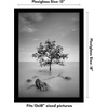 image:imageAmericanflat 20x30 Poster Frame  White Engineered Wood with Polished Plexiglass  Wide Picture Frame for Vertical or Horizontal Wall Display  Epic Collection  White  Polished plexiglass front hangs vertical or horizontal sawtooth hangers included fits photos posters and artBlack