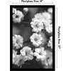 image:imageAmericanflat 20x30 Poster Frame  White Engineered Wood with Polished Plexiglass  Wide Picture Frame for Vertical or Horizontal Wall Display  Epic Collection  White  Polished plexiglass front hangs vertical or horizontal sawtooth hangers included fits photos posters and artBlack