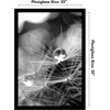 image:imageAmericanflat 20x30 Poster Frame  White Engineered Wood with Polished Plexiglass  Wide Picture Frame for Vertical or Horizontal Wall Display  Epic Collection  White  Polished plexiglass front hangs vertical or horizontal sawtooth hangers included fits photos posters and artBlack