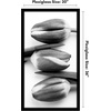 image:imageAmericanflat 20x30 Poster Frame  White Engineered Wood with Polished Plexiglass  Wide Picture Frame for Vertical or Horizontal Wall Display  Epic Collection  White  Polished plexiglass front hangs vertical or horizontal sawtooth hangers included fits photos posters and artBlack