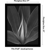 image:imageAmericanflat 20x30 Poster Frame  White Engineered Wood with Polished Plexiglass  Wide Picture Frame for Vertical or Horizontal Wall Display  Epic Collection  White  Polished plexiglass front hangs vertical or horizontal sawtooth hangers included fits photos posters and artBlack