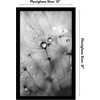 image:imageAmericanflat 20x30 Poster Frame  White Engineered Wood with Polished Plexiglass  Wide Picture Frame for Vertical or Horizontal Wall Display  Epic Collection  White  Polished plexiglass front hangs vertical or horizontal sawtooth hangers included fits photos posters and artBlack