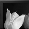 image:imageAmericanflat 20x30 Poster Frame  White Engineered Wood with Polished Plexiglass  Wide Picture Frame for Vertical or Horizontal Wall Display  Epic Collection  White  Polished plexiglass front hangs vertical or horizontal sawtooth hangers included fits photos posters and artBlack